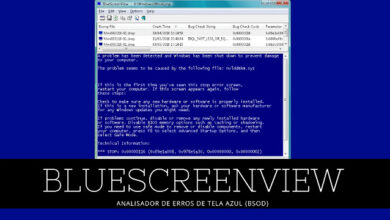 BLUESCREENVIEW