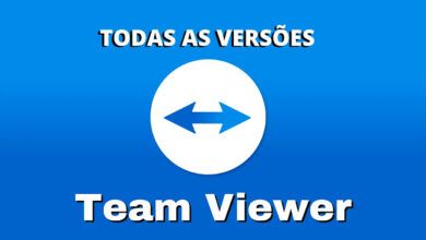 Team Viewer