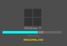 Windows 11 ISO