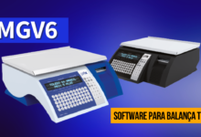 MGV6
